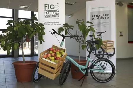 新零售的創新標桿 迪士尼休閑農場超市與Eataly的開山之作